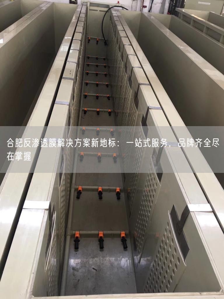 合肥反渗透膜解决方案新地标：一站式服务，品牌齐全尽在掌握(图1)