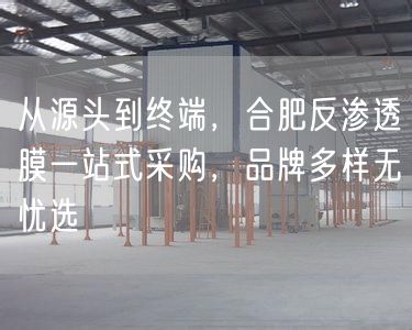 从源头到终端，合肥反渗透膜一站式采购，品牌多样无忧选(图1)