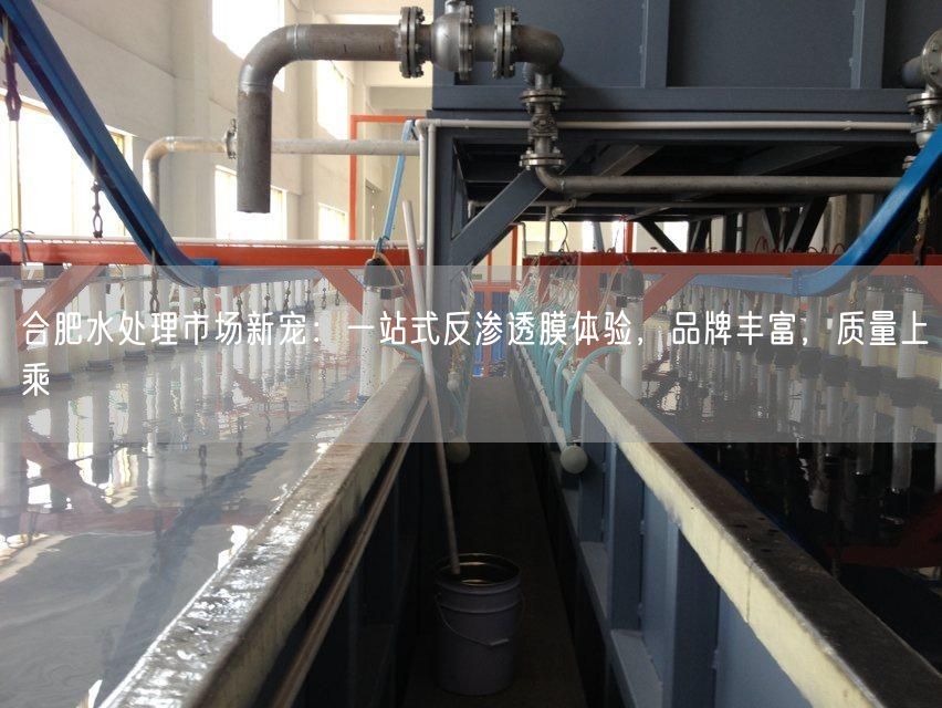 合肥水处理市场新宠：一站式反渗透膜体验，品牌丰富，质量上乘(图1)