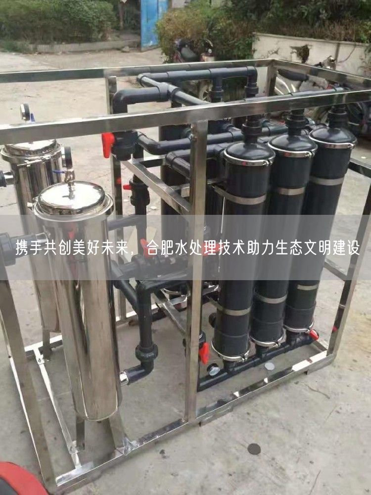 携手共创美好未来，合肥水处理技术助力生态文明建设(图1)